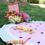 watermelon-picnic-blanket-25