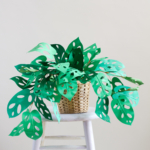 Paper swiss cheese plant tutorial by Corrie Beth Hogg for The House That Lars Built