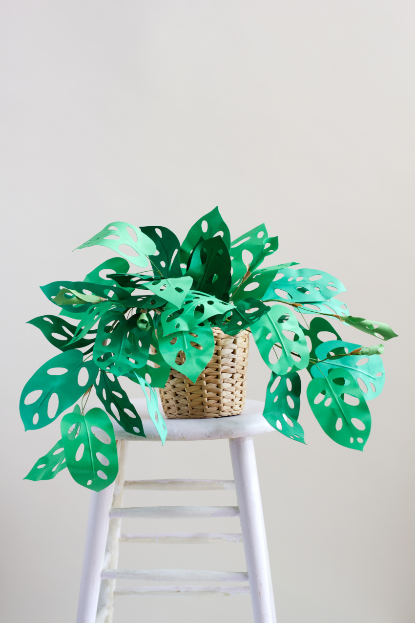 paper plant tutorial