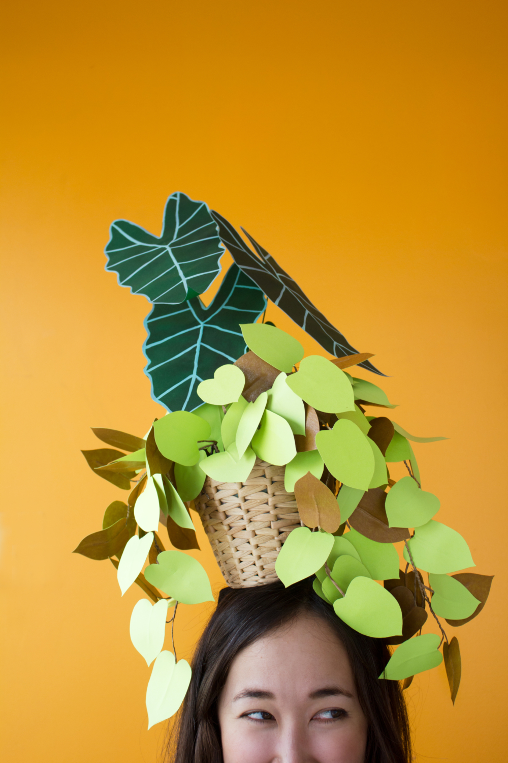 DIY potted plant hat