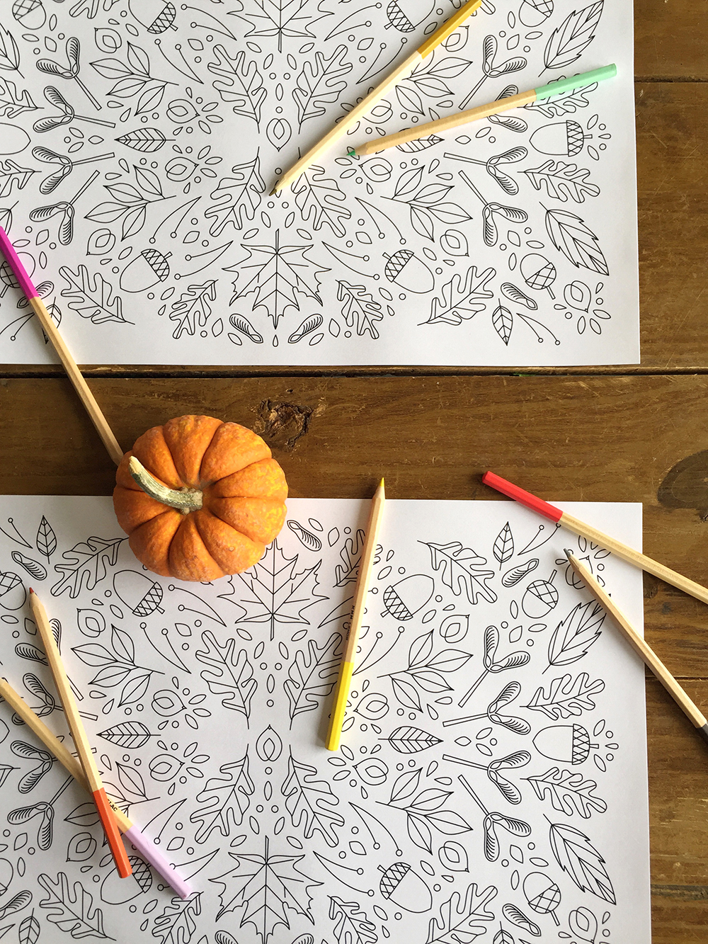 Thanksgiving printable placemat coloring page from The House That Lars Built
