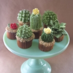 cactus cupcake video