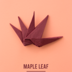 How to fold a maple leaf with a napkin