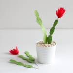 DIY Paper Christmas Cactus