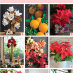 15 holiday flower tutorials