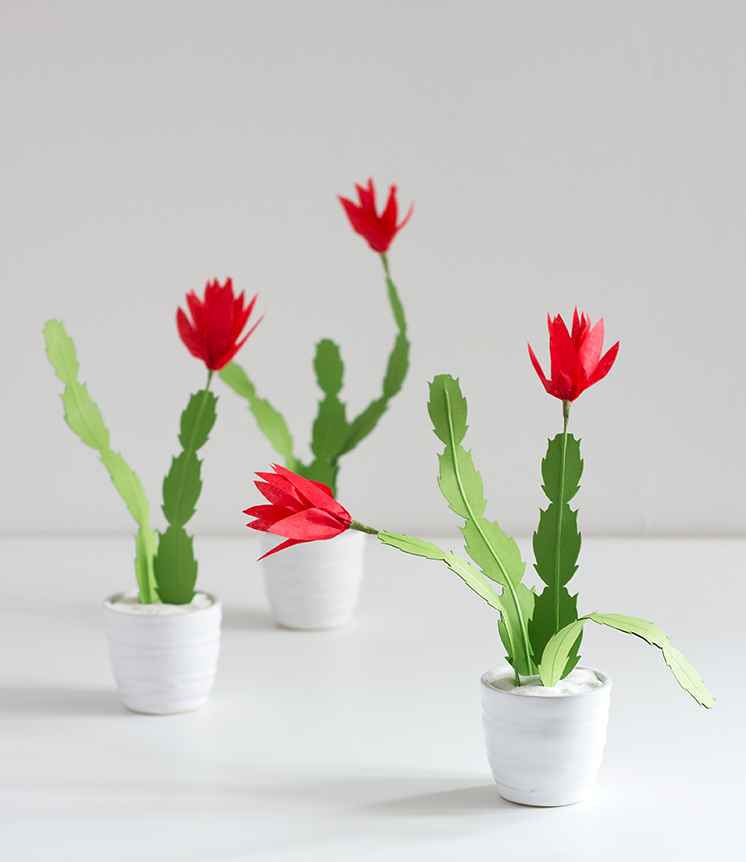 DIY paper Christmas cactus