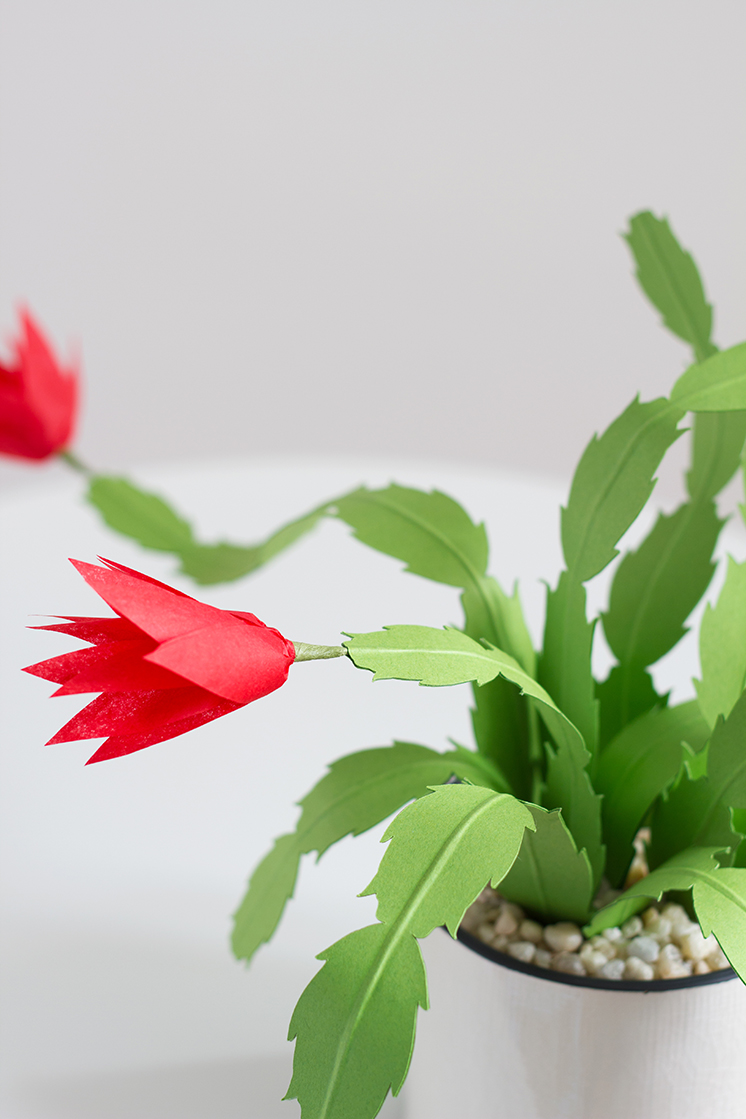 Paper Christmas cactus in a white pot