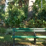 travel-to-cuba-park-bench