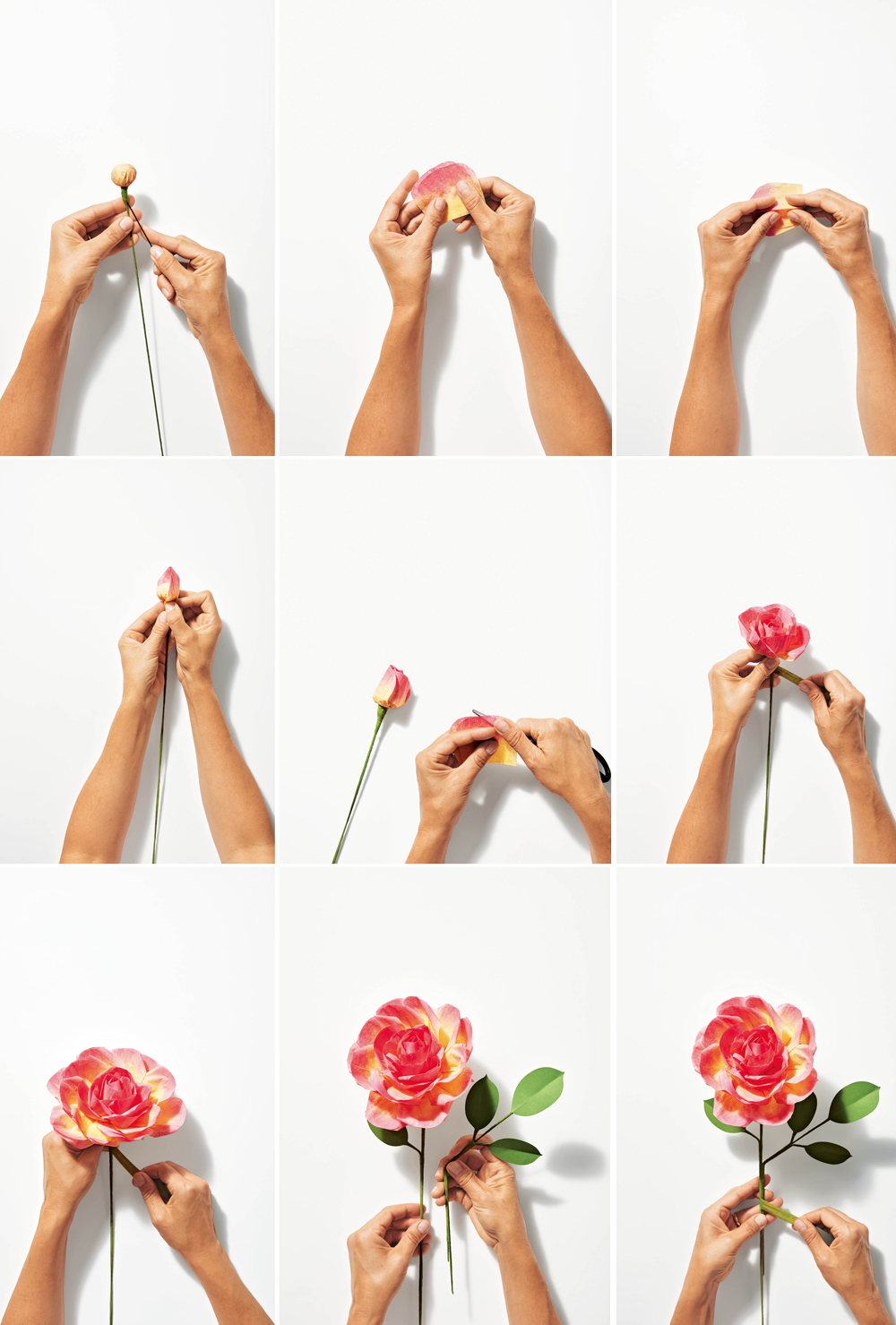 How to make an eden rose