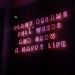 Plant dreams, pull weeds, and grow a happy life