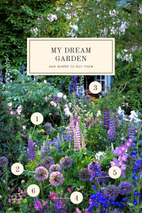 Dream gardens and where to buy them