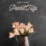 Make a parrot tulip
