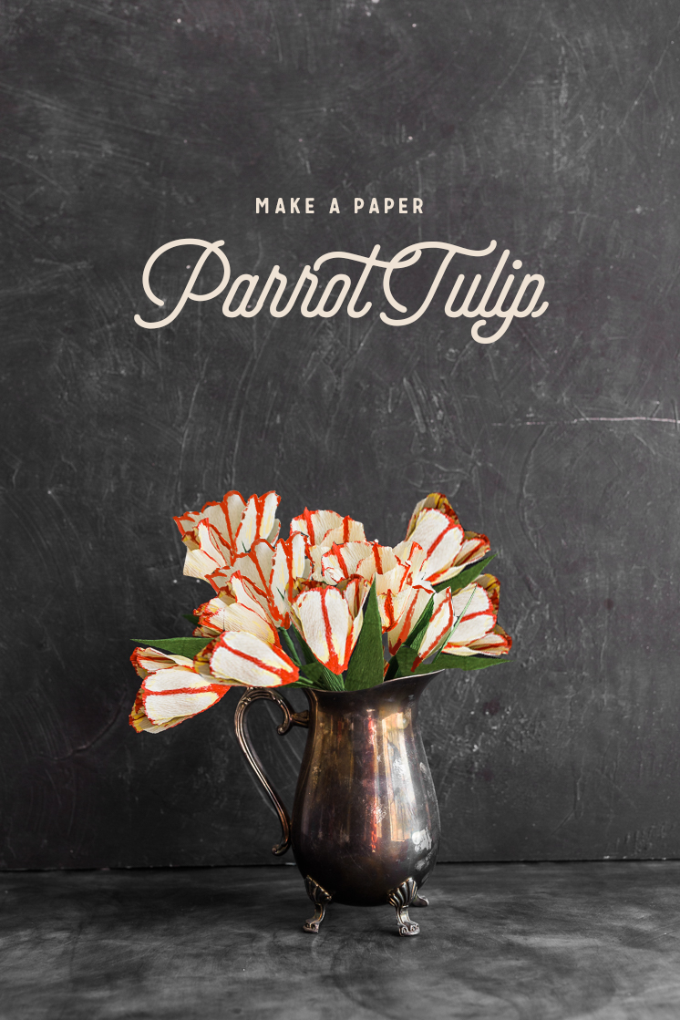 Make a parrot tulip