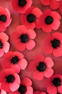 DIY paper poppy backdrop and pin