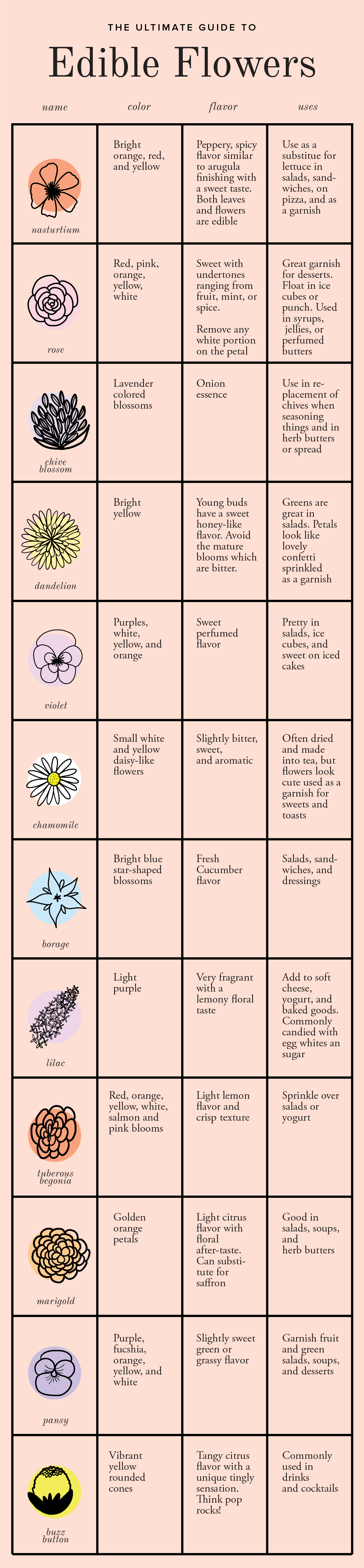 Edible Flower Chart