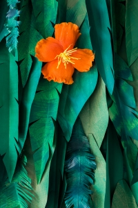 Tropical Leaf and Hibiscus Backdrop