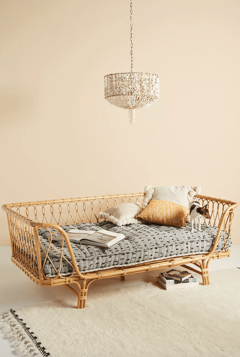 Rattan day bed in a light-filled beige room. A dog, some pillows, and a few magazines and books are on the day bed. 