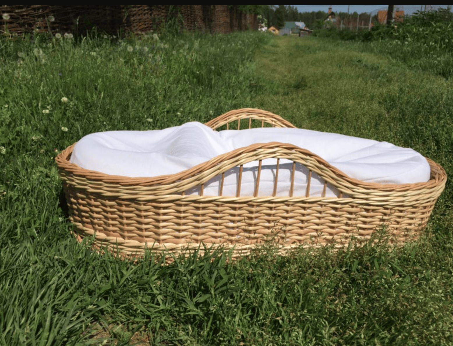 Rattan moses basket in a grassy field