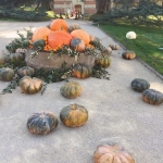 Autumn decorating at Chateau Chaumont