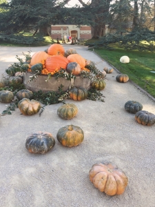 Autumn decorating at Chateau Chaumont