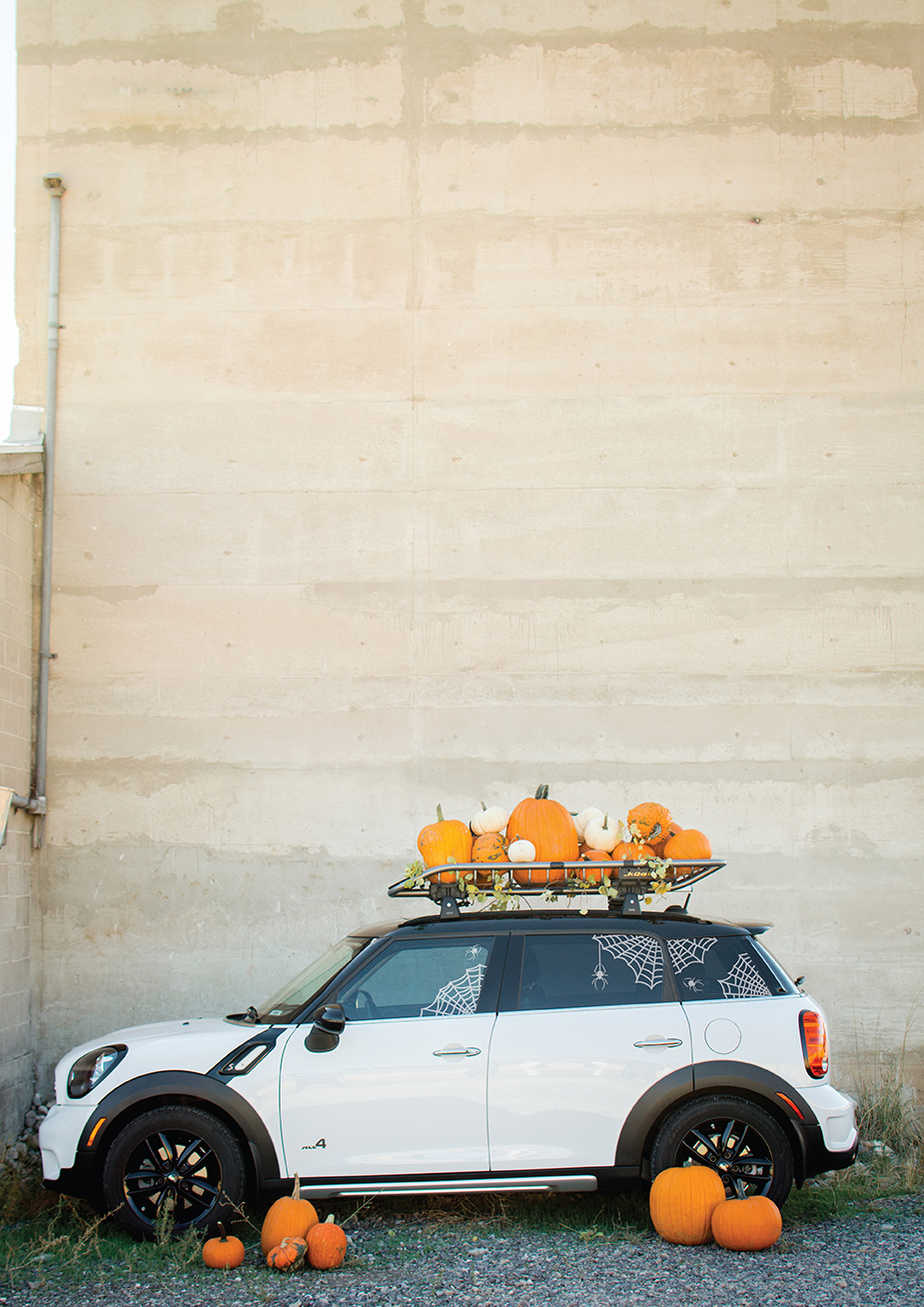 Pumpkin Patch Car