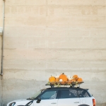 Pumpkin Patch Car