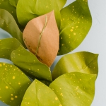 Paper Magnolia Leaf Garland