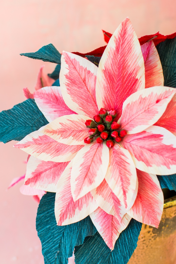 Paper Poinsettia Flowers - La casa che Lars costruito | ICIB Information