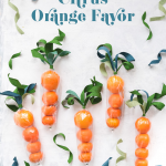 Citrus Carrot Favor