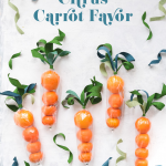 Citrus Carrot Favor