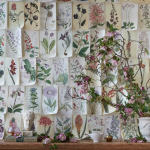 Craft The Rainbow botanical wallpaper