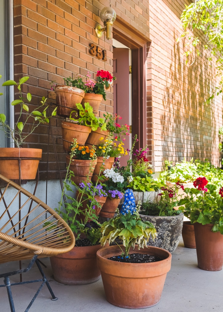 How to plant a Rainbow Container Garden - The House That Lars Built