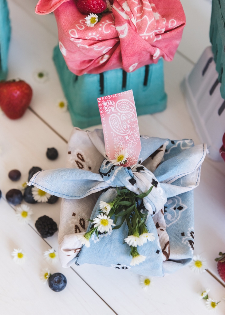 Bandana Berry Baskets The House That Lars Built