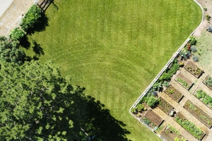 Lawn Rainbow Makeover