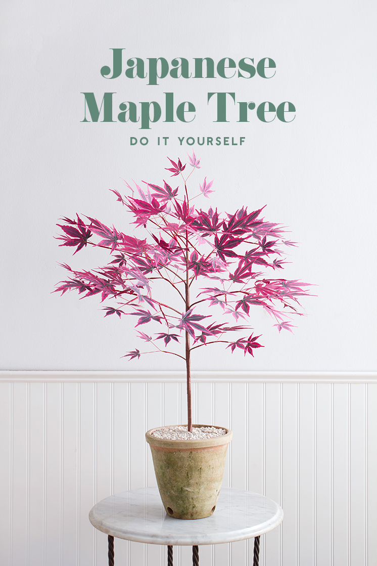 DIY Paper Japanese maple tree