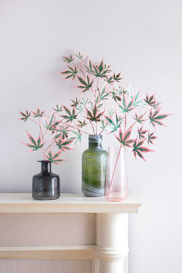 How to Style Indoor Plants