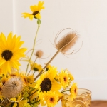 Foraged Fall Sunflower