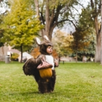 Jasper’s Squirrel Halloween Costume 2019-8054