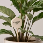the-sill_ceramic-message-pops_variant_you-grow-girl_1080x (1)