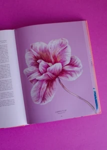 Petal book by Adriana Picker