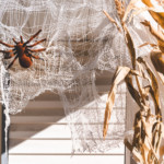 make spiderwebs with gauze
