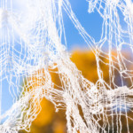 make spiderwebs with gauze