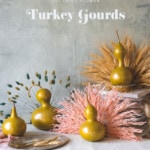 Lars-Turkey-Centerpiece-(Dried-Flowers-+-Gourd-Pumpkins)-(1-of-11)-with-text