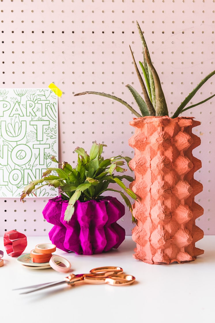vase made from egg carton in pink and coral colors with houseplants in them