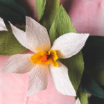 Daffodil Wreath (5 of 6)