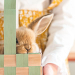Printable Easter Baskets + Sniffles the Bunny (3 of 4)