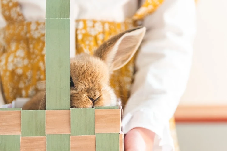 a wheat-colored rabbit peeks over the top of a paper Easter basket