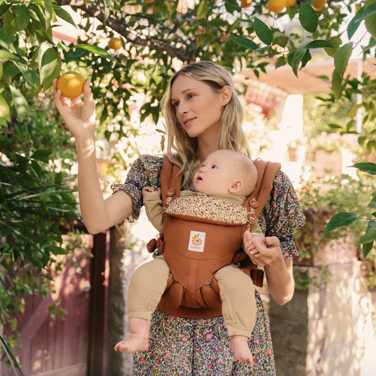 A blonde woman carries a baby in an omni 360 baby carrier in the colorway field of daisies. She is picking an orange from a tree. 