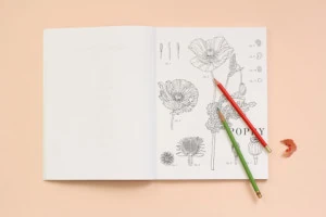 picture of a coloring page with a red and green colored pencil on top.