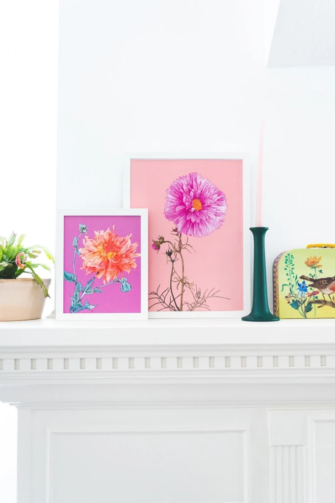 Two pink floral art prints on a white mantle next to a potted plant, a green candlestick, and a vintage lunchbox